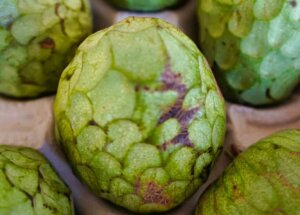 Blog Beitragsbild Biosophie:Nahrung und das rechte Maß