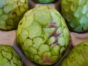 Biosophie: Nahrung und das rechte Maß