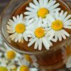Foto Kamillen-Aufguß im Glas mit Blüten