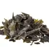 Algamar-Kombu-Kelp-100-g-Alg