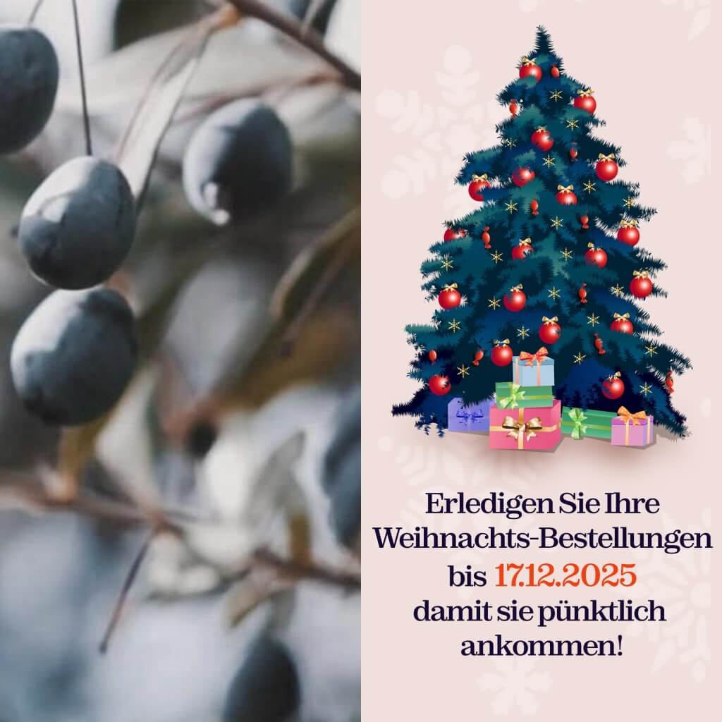 xmas bestellungenSilder-Mobil1