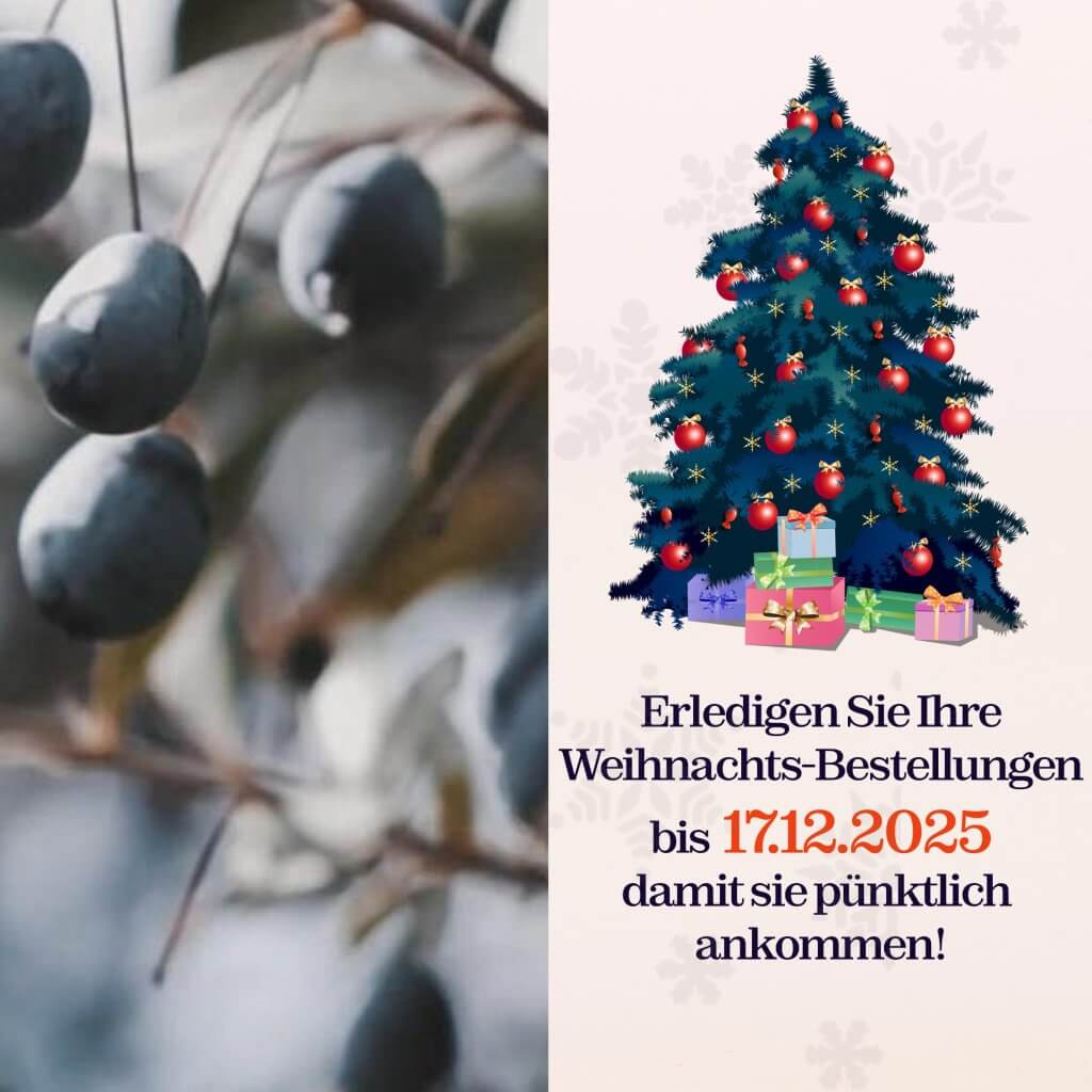 Slider 1 Mobil Xmas bestellungen