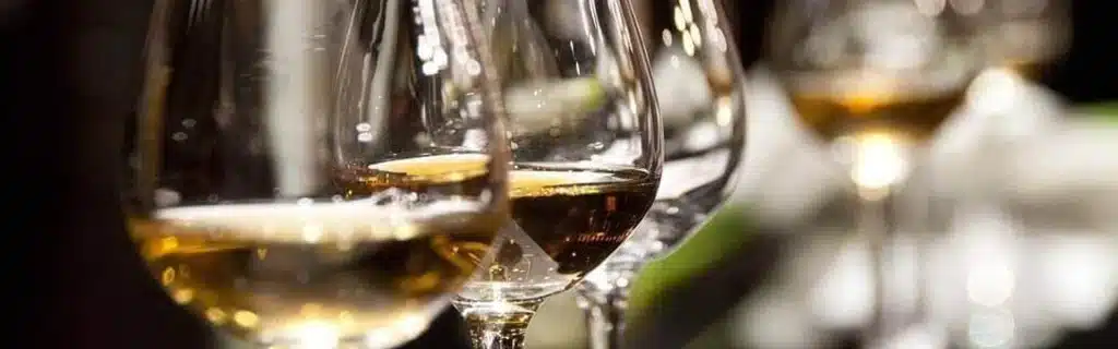 Vita-Verde-Termine - Olivenoel testing oel in gläsern